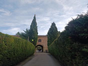 Planes tranquilos en Soria | Vive Soria sin prisas con Soria Tours